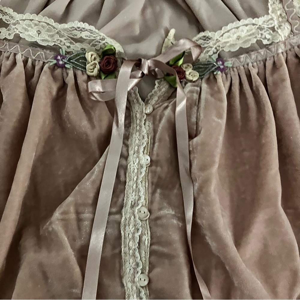 Free People new w/ tags let’s voyage, blush, pink velvet, lace floral blouse M - Picture 12 of 16